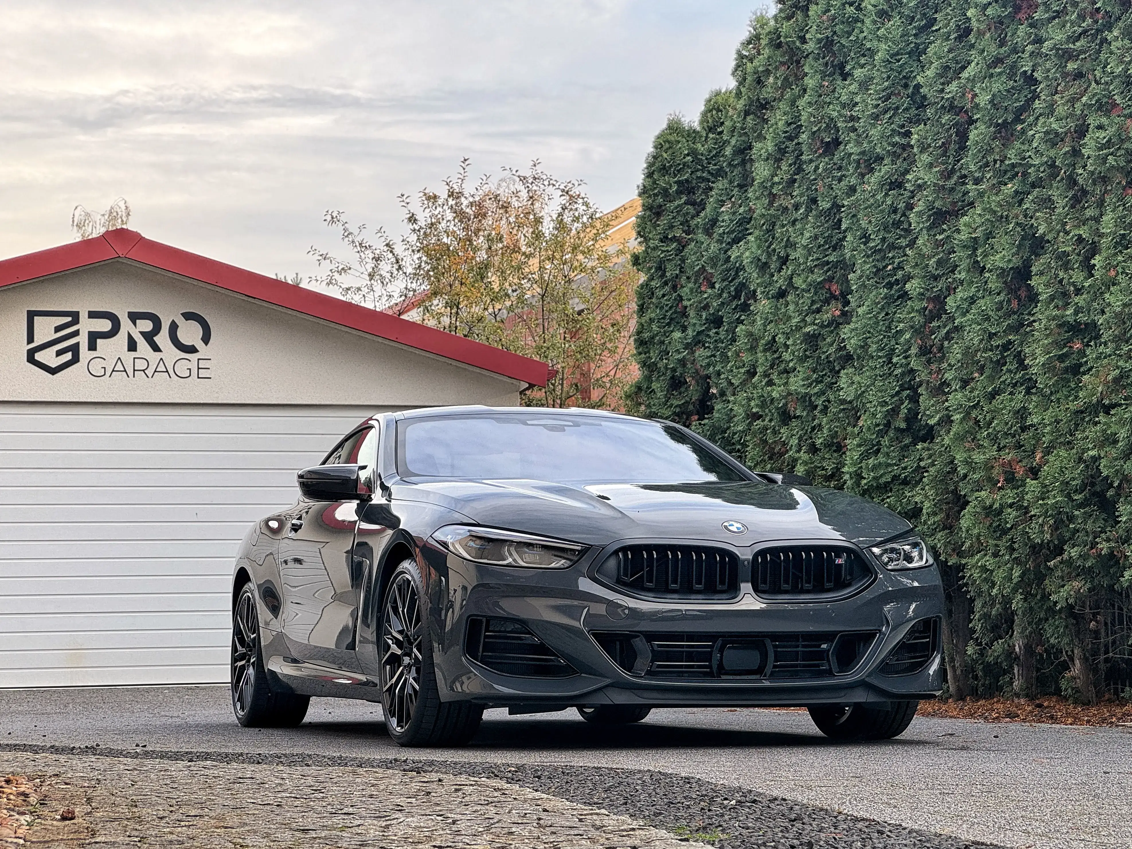 BMW 850i Coupe - FULL BODY PPF