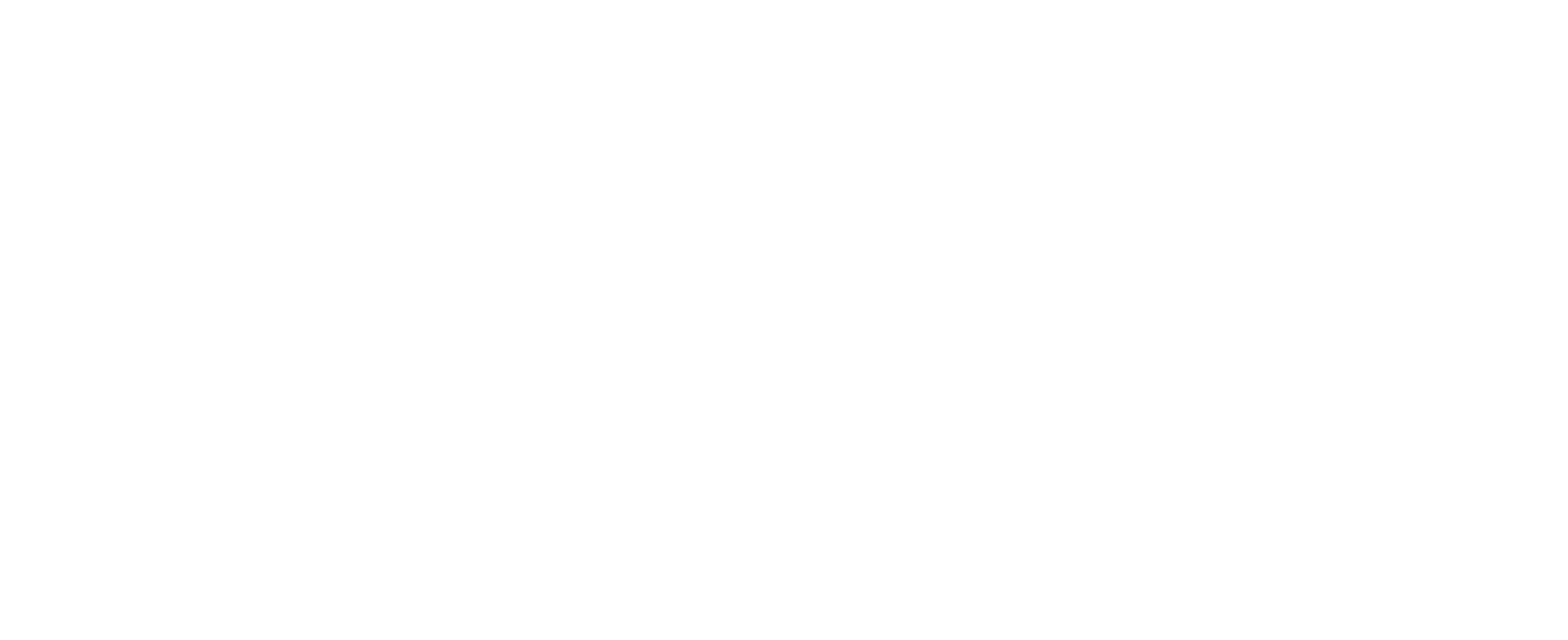 ProGarage Car Spa logo