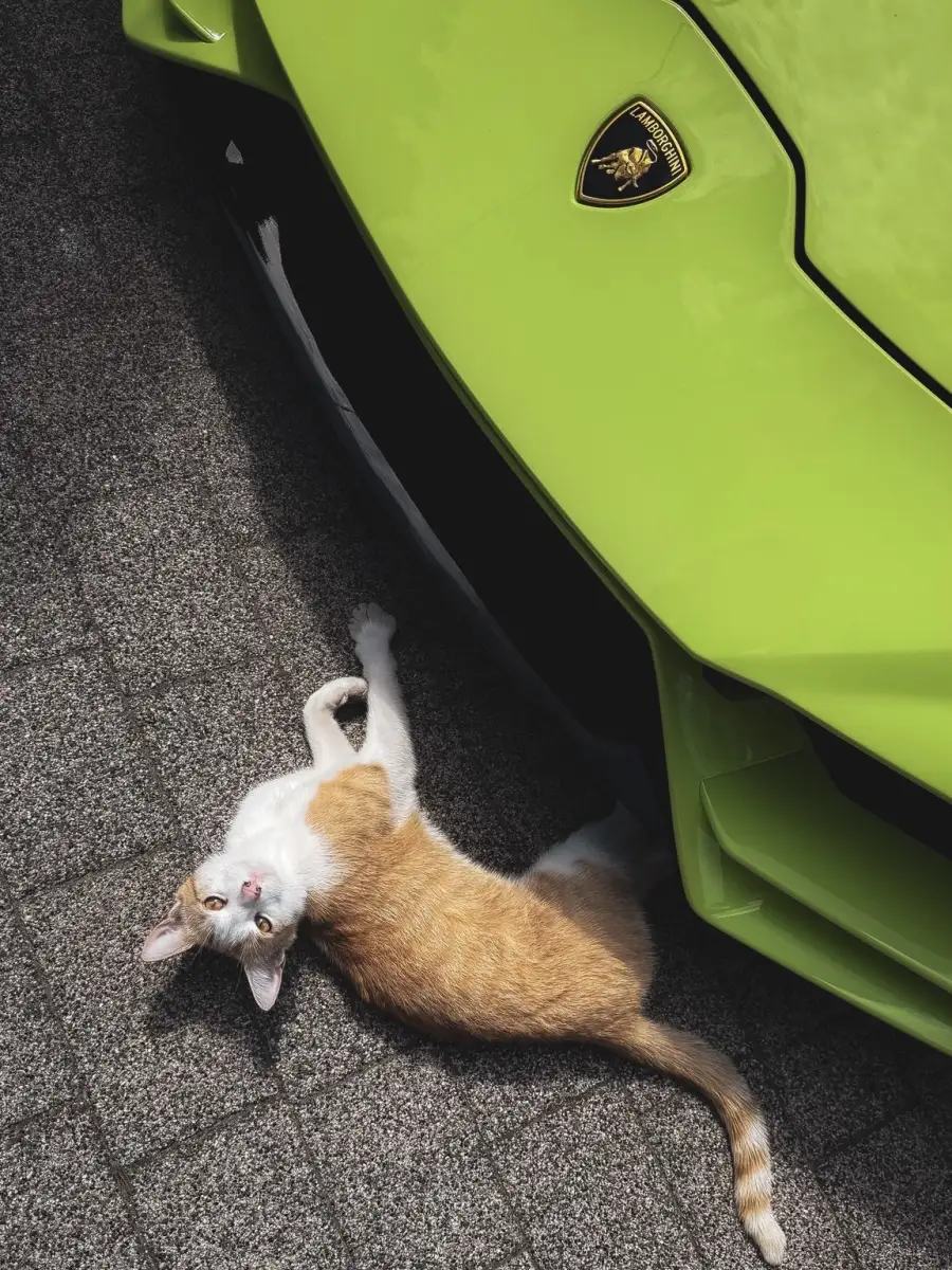 Lamborghini Huracan Evo - View 5